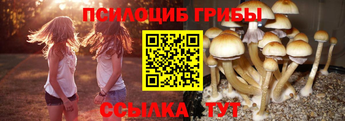 Псилоцибиновые грибы Psilocybe  Вход с VPN  Нефтеюганск 